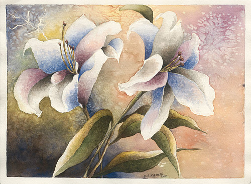 A painting of two large white blooms