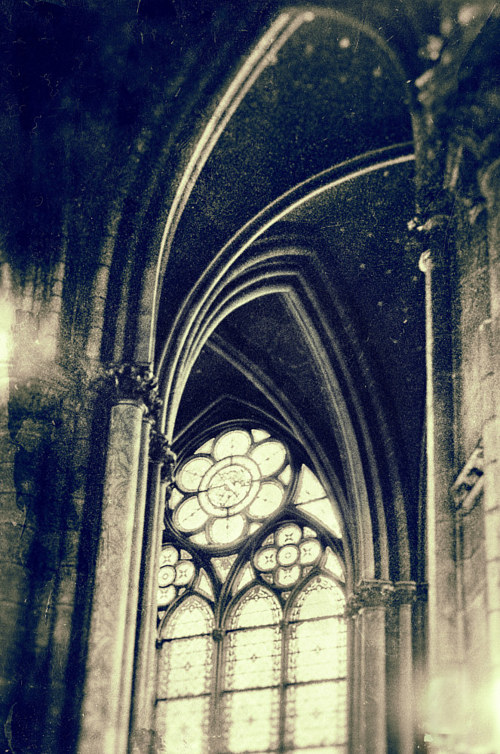 An analogue photograph of the Notre Dame cathedral