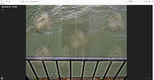 A screen capture of Amanda Dinse's art website