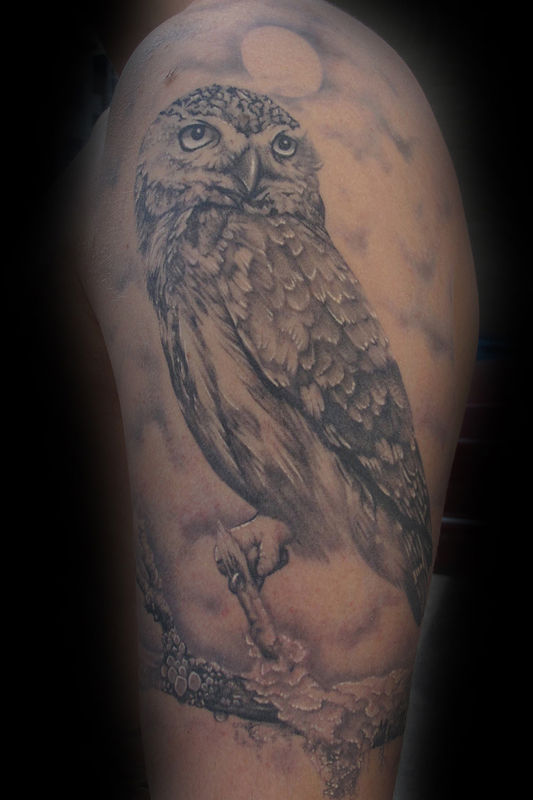 owl tattoo kelowna b c sweet siren tattoo in kelowna b c owl tattoo kelowna b c sweet siren tattoo in kelowna b c