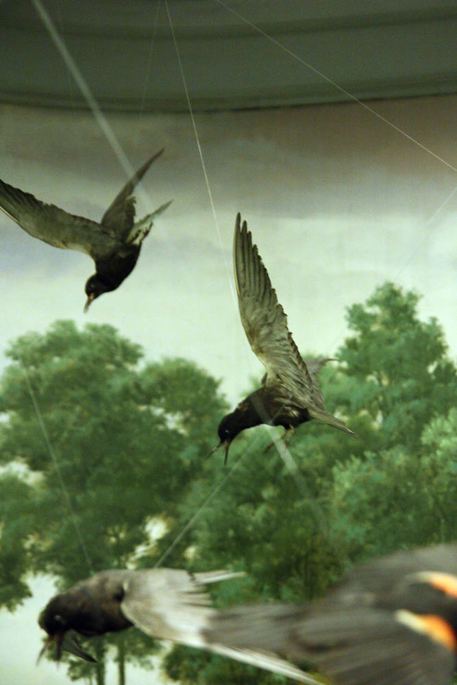 Return to: Past Works "Visiting Beth" 2 of 3 by Joseph Sullivan