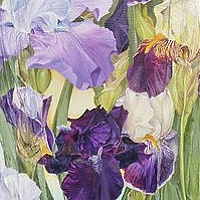 Iris Lace //images.artistrunwebsite.com/gallery/img_1096861468899789_large.jpg?1468899790
