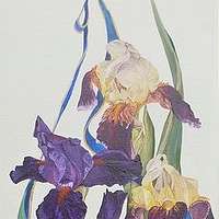 Blue Ribbon Iris //images.artistrunwebsite.com/gallery/img_1096881403806355_large.jpg?1480319194