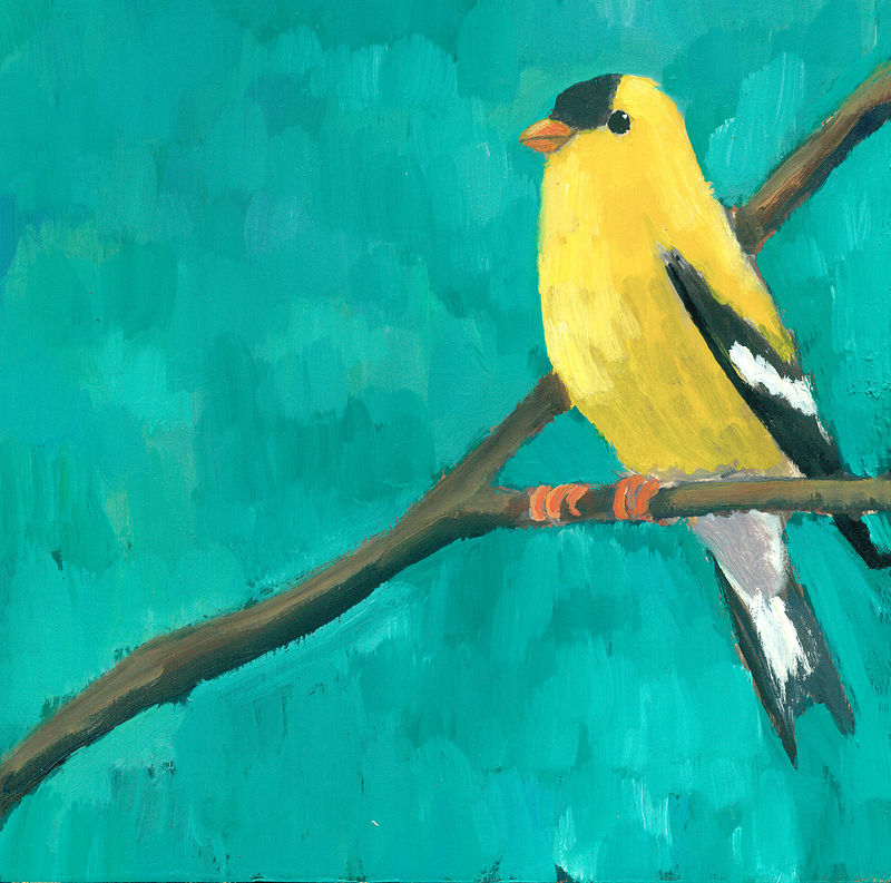 Goldfinch C011 Print Goldfinch C011 by Cody Blomberg