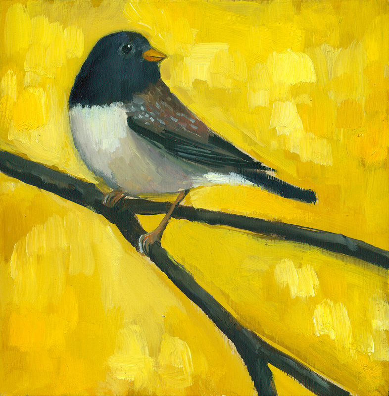 Junco C010 Print Junco C010 by Cody Blomberg