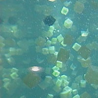 bubblecube_0055 //images.artistrunwebsite.com/gallery/img_119361353884301_large.jpg?1425007459