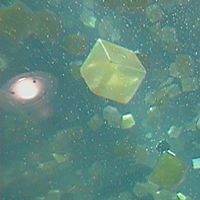 bubblecube_0057 //images.artistrunwebsite.com/gallery/img_119381353884344_large.jpg?1425007475