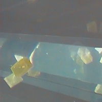 bubblecube_0069 //images.artistrunwebsite.com/gallery/img_119391353884369_large.jpg?1425007480