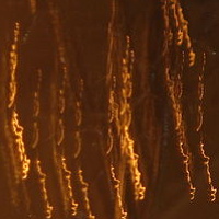 Glodfog_1306 //images.artistrunwebsite.com/gallery/img_119471353884646_large.jpg?1425007542
