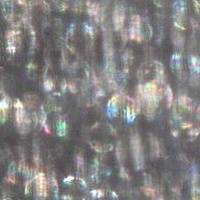 REFRACTwindow_6201 //images.artistrunwebsite.com/gallery/img_1217191410845093_large.jpg?1425008821