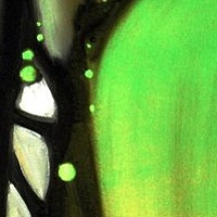 The Greening of the Grid //images.artistrunwebsite.com/gallery/img_1253891414902654_large.jpg?1426392625