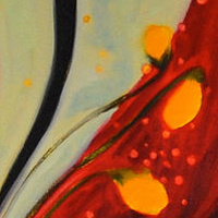 Red Floral Series IV //images.artistrunwebsite.com/gallery/img_1254001414902772_large.jpg?1425056349