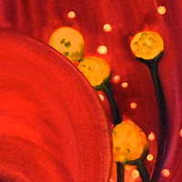 Spring Floral II //images.artistrunwebsite.com/gallery/img_1254011414902781_large.jpg?1425056350
