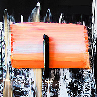 Condo Creature, acrylic on plexi glass, 2015 //images.artistrunwebsite.com/gallery/img_1257521415308713_large.jpg?1549519727
