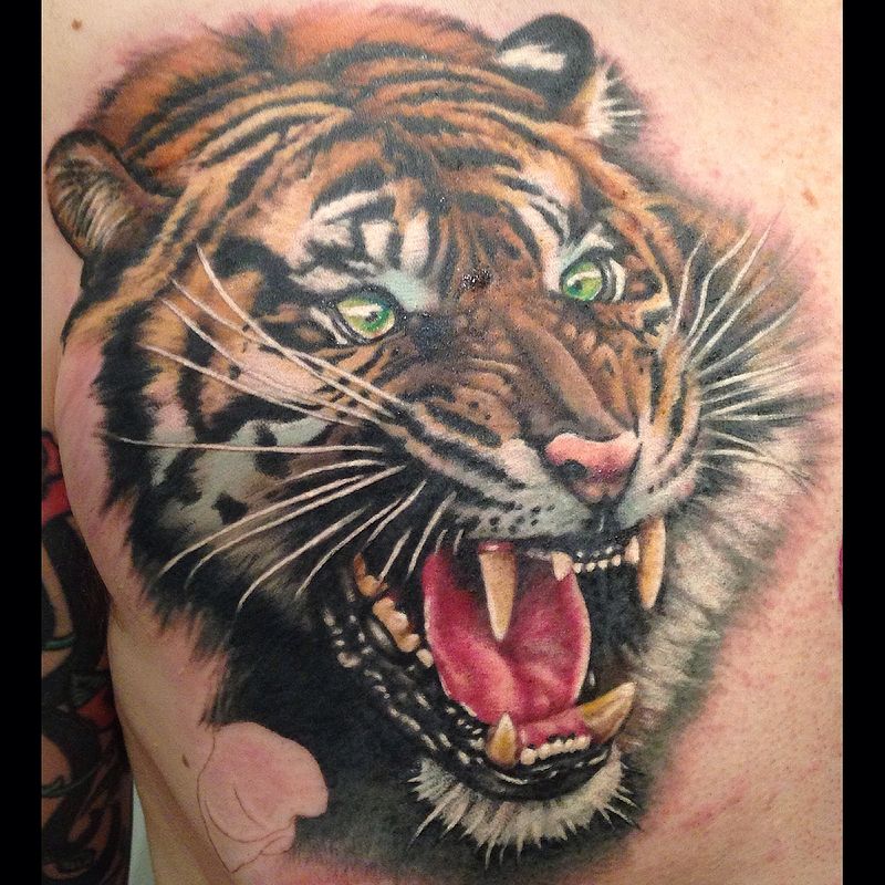 Tattoo Animal Portraits | color tiger tofino b c sweet siren tattoo in kelowna b c Tattoo Animal Portraits | color tiger tofino b c sweet siren tattoo in kelowna b c