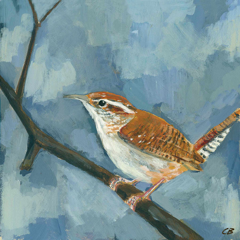 WREN C-087 Print WREN C-087 by Cody Blomberg