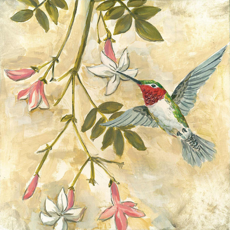 FLORAL HUMMINGBIRD C-105 Print FLORAL HUMMINGBIRD C-105 by Cody Blomberg
