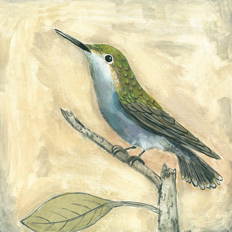 LADYHUMMINGBIRD C-104 Print LADYHUMMINGBIRD C-104 by Cody Blomberg