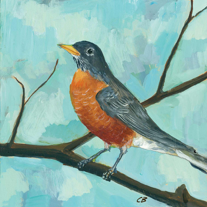 ROBIN C-086 Print ROBIN C-086 by Cody Blomberg
