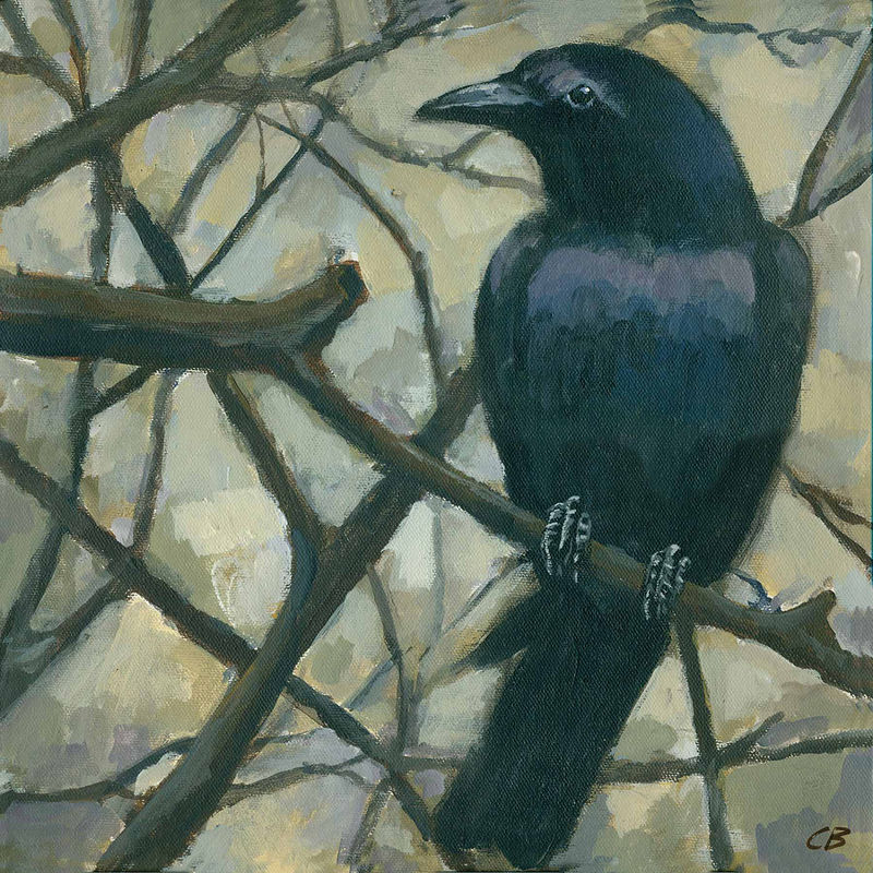 Crow C-091 Print Crow C-091 by Cody Blomberg