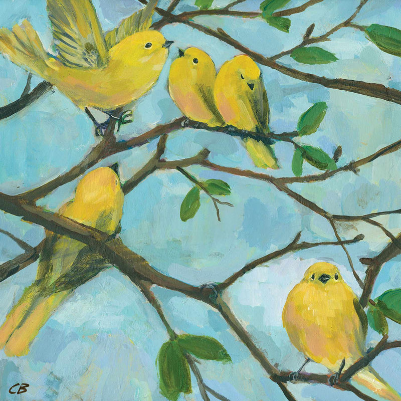 WARBLERS C-078 Print WARBLERS C-078 by Cody Blomberg