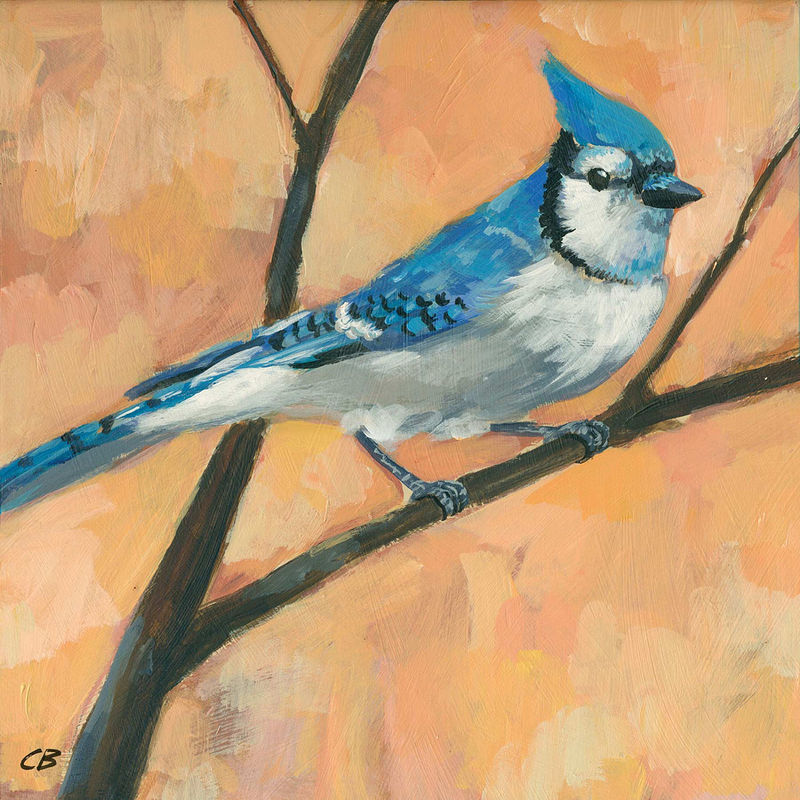 BLUEJAY C-082 Print BLUEJAY C-082 by Cody Blomberg