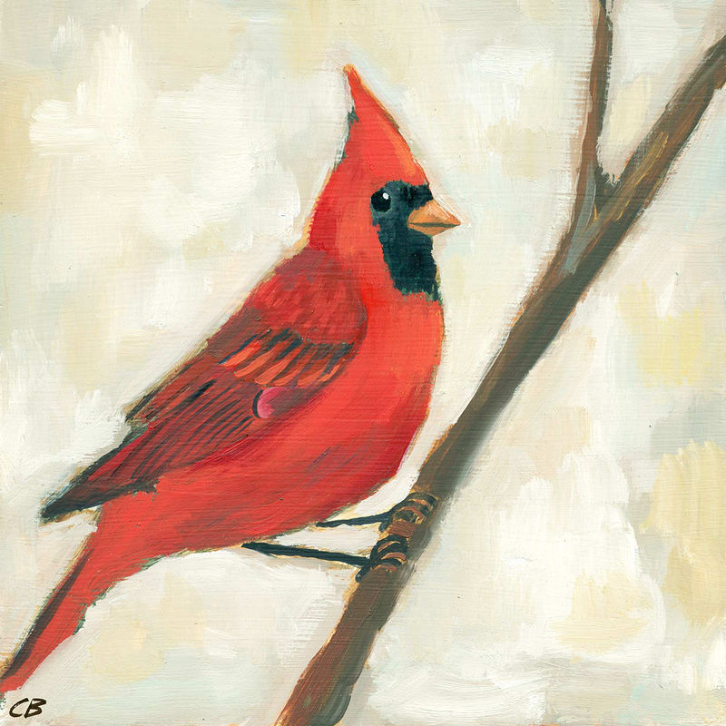 CARDINAL C015 Print CARDINAL C015 by Cody Blomberg