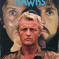 Night Hawks //images.artistrunwebsite.com/gallery/img_1370971425255354_large.jpg?1477221109