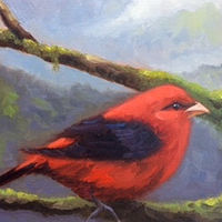 Scarlet Tanager //images.artistrunwebsite.com/gallery/img_1418661429214296_large.jpg?1474170924