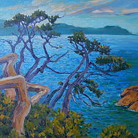 Morning Sun, Finerty Island, BC //images.artistrunwebsite.com/gallery/img_1439331431225553_large.jpg?1431229530