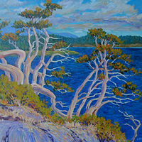 August Evening, Finerty Island, BC //images.artistrunwebsite.com/gallery/img_1439421431225605_large.jpg?1431228226