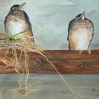 Empty Nest //images.artistrunwebsite.com/gallery/img_1444051431620290_large.jpg?1451439097