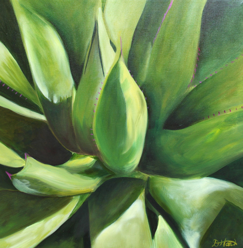 Cactus Close-up Drawing Cactus Close-up by Debbie Hart