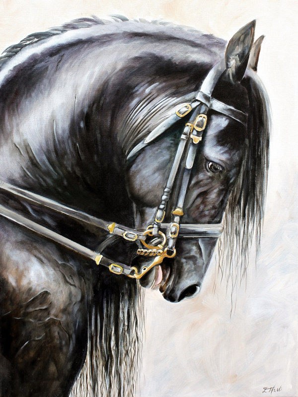 Friesian Friesian by Debbie Hart