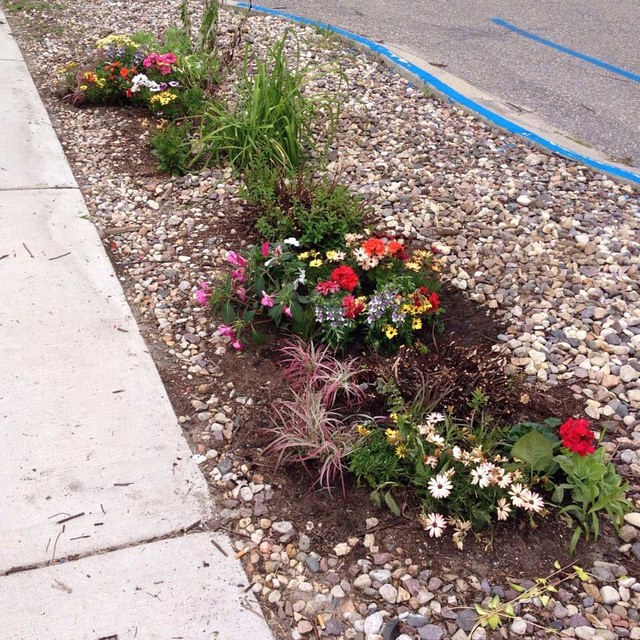 Return to: Downtown Baraboo Volunteer Garden Summer of 2014 by Maday Delgado
