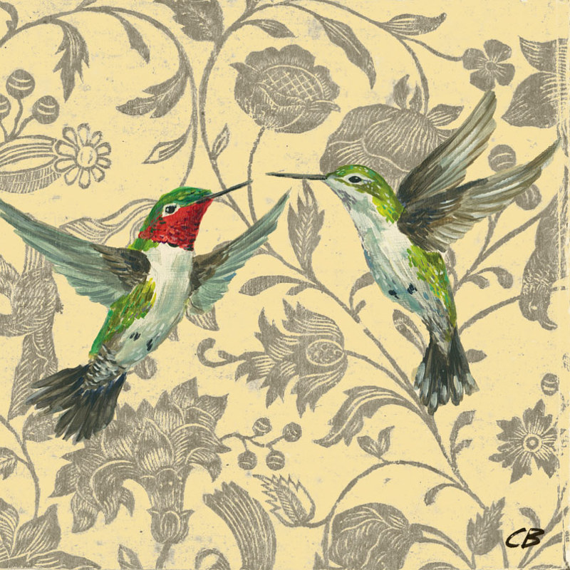 Hummingbird C-103 Print Hummingbird C-103 by Cody Blomberg