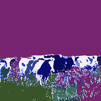 Blue Cows and Fireflies //images.artistrunwebsite.com/gallery/img_1482821436125904_large.jpg?1648108237