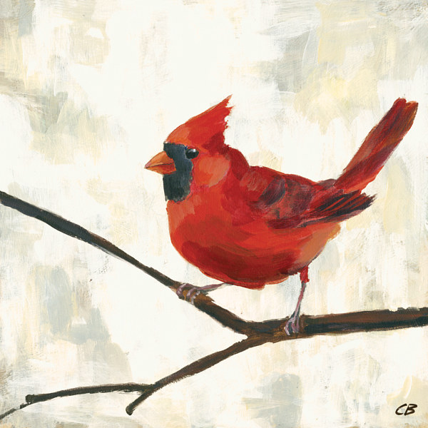 Cardinal White C-110 Print Cardinal White C-110 by Cody Blomberg