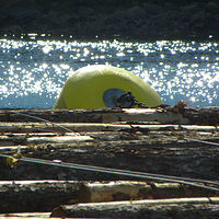 Reflections - Buoy Secures the Log Boom, Sechelt Inlet, B.C. //images.artistrunwebsite.com/gallery/img_1603961446833584_large.jpg?1556429584