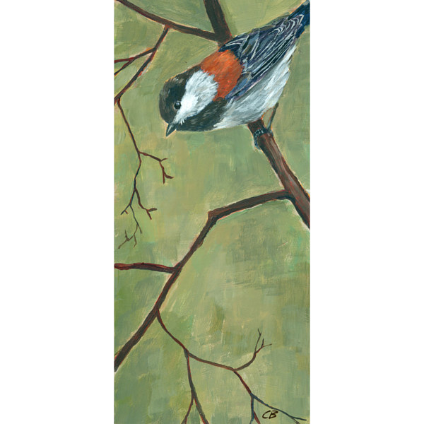 Chickadee C063 Print Chickadee C063 by Cody Blomberg