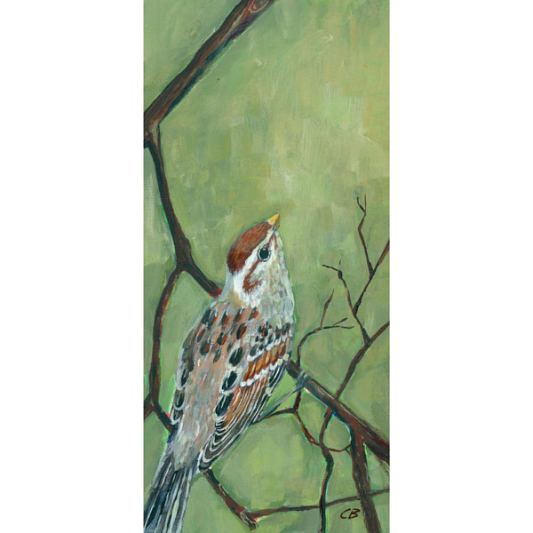 Sparrow C062 Print Sparrow C062 by Cody Blomberg