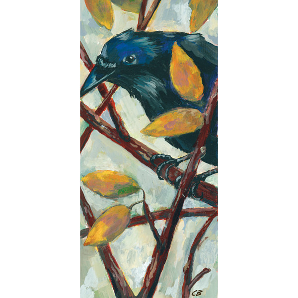 Crow Right C061 Print Crow Right C061 by Cody Blomberg