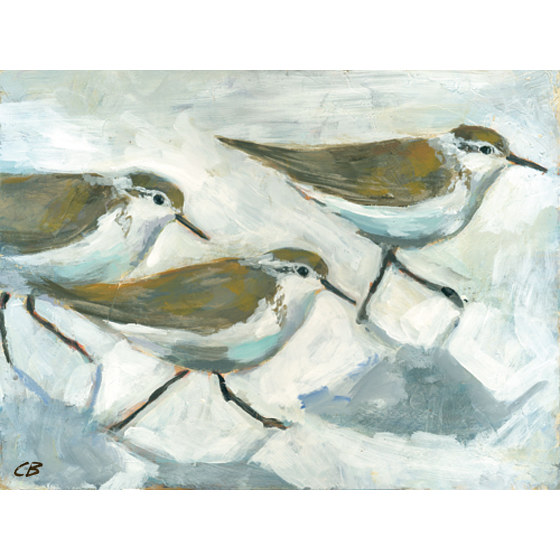 Sandpipers C-105 Print Sandpipers C-105 by Cody Blomberg