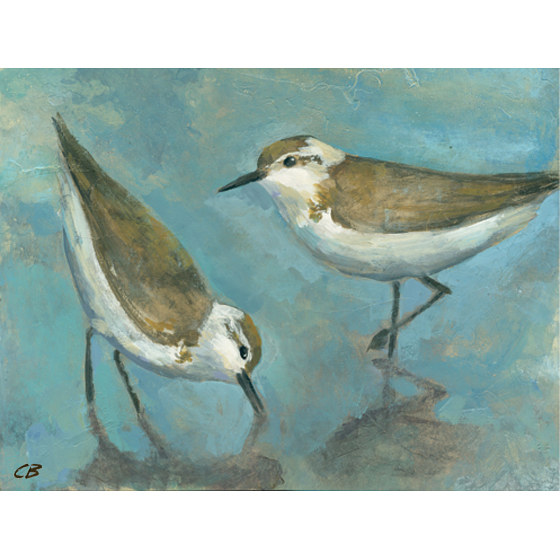 Sandpipers C-106 Print Sandpipers C-106 by Cody Blomberg