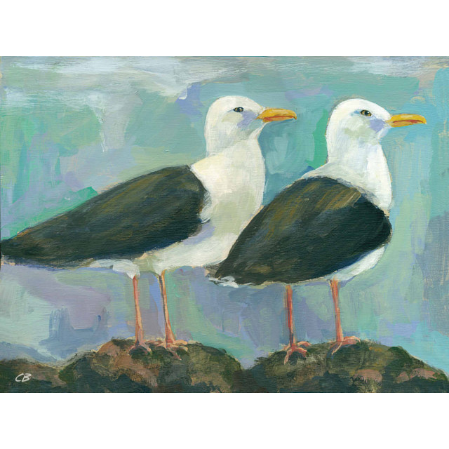 Gulls C-100 Print Gulls C-100 by Cody Blomberg