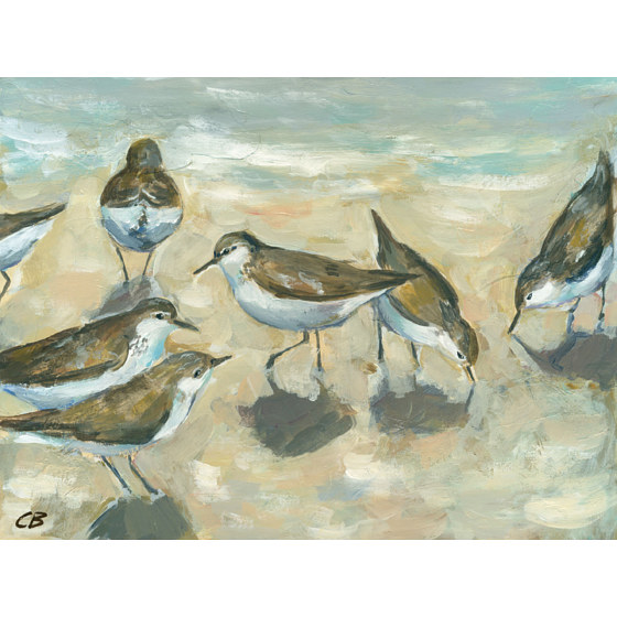 Sandpipers C-098 Print Sandpipers C-098 by Cody Blomberg