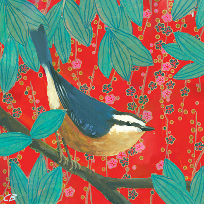 Red Nuthatch C020 Print Red Nuthatch C020 by Cody Blomberg