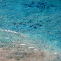 Hanson Bay 2, Kangaroo Island - detail //images.artistrunwebsite.com/gallery/img_1724561457305345_large.jpg?1526330392