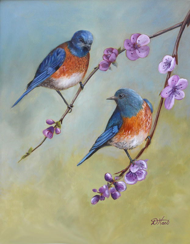 bluebirds bluebirds by Debbie Hart