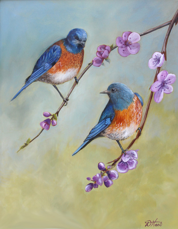 bluebirds Oil painting bluebirds by Debbie Hart